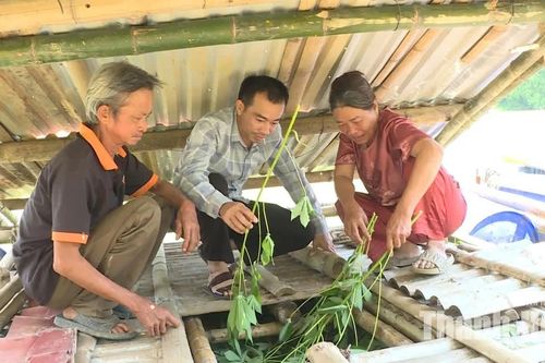 Người dân khôi phục sản xuất sau sự cố tại Nhà máy Thủy điện Cẩm Thủy I