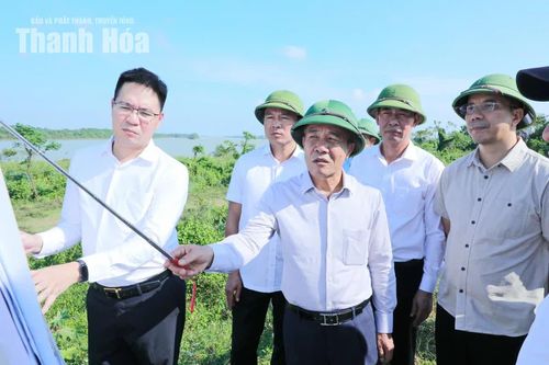 Thường trực Tỉnh ủy kiểm tra thực địa phương án Trung tâm hành chính mới, quy hoạch đô thị và công tác bảo vệ môi trường