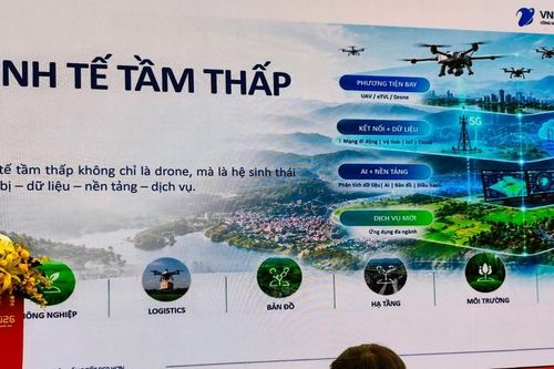 Xây dựng chuỗi giá trị cho kinh tế tầm thấp ở Việt Nam