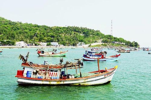 An Giang siết quản lý tàu cá, đẩy mạnh ứng dụng eCDT