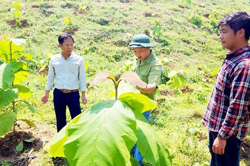 Bắc Ninh: Dồn lực giải các bài toán lớn về khoa học, công nghệ