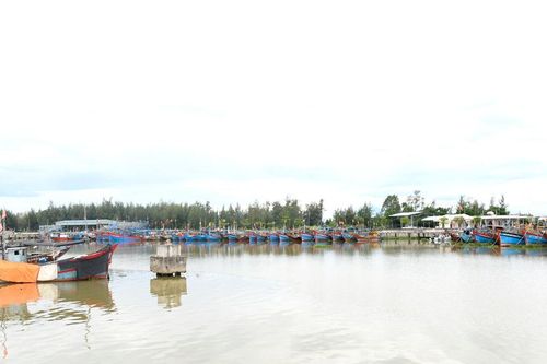 Bảo đảm an toàn neo đậu tàu cá