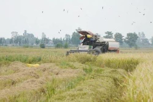 Xã Tân Hồng: Nhiều điểm sáng trong phát triển kinh tế - xã hội năm 2026