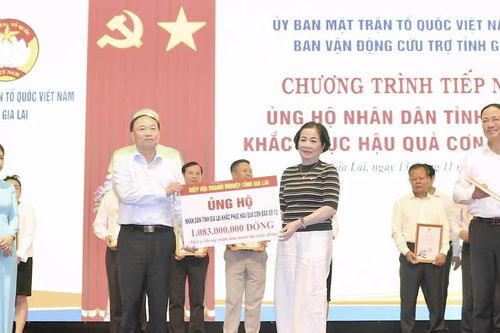Doanh nhân Gia Lai - Khát vọng vươn xa trên không gian phát triển mới