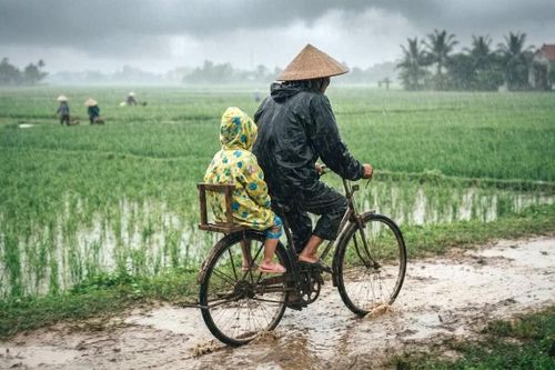 Mùi áo mưa của bố
