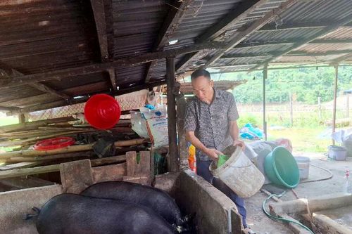 Hạt nhân phát triển kinh tế ở Bum Tở