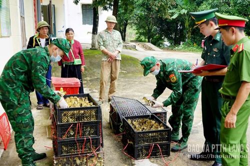Ngăn hàng lậu từ biên giới