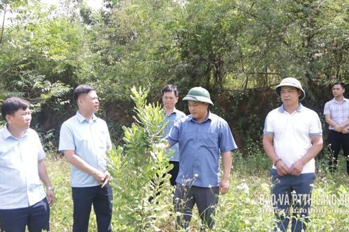 Kiểm tra việc triển khai thực hiện Nghị quyết số 24 tại một số xã