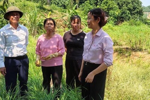 Lào Cai: Vốn vay ưu đãi tiếp sức tạo việc làm bền vững