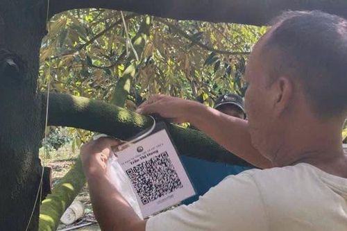 Chăm sóc cây trồng thời công nghệ số