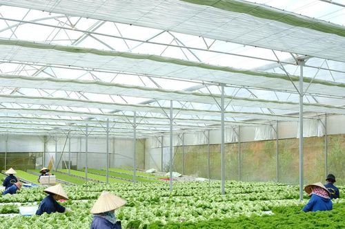 Lâm Đồng mở rộng hợp tác với Hàn Quốc