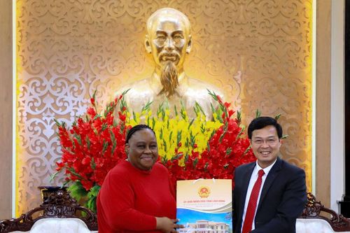 Lâm Đồng thúc đẩy hợp tác thương mại, du lịch với Nam Phi