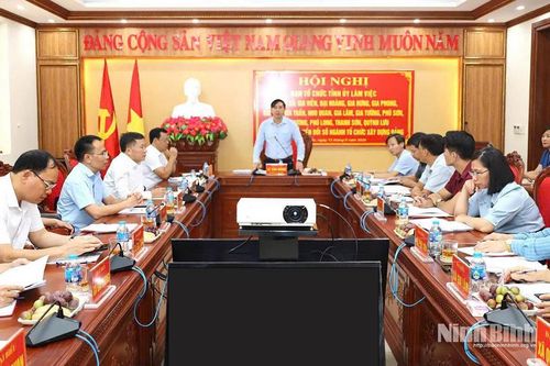 Ngành Tổ chức xây dựng Đảng tỉnh nỗ lực tạo đột phá trong công tác chuyển đổi số