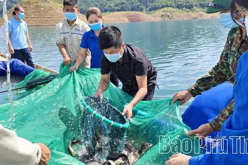 Giữ sinh kế giữa vùng hồ Tiền Phong