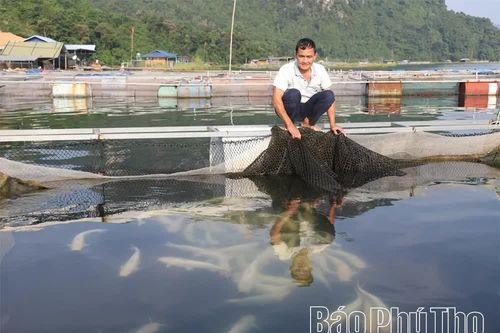 Phú Thọ còn 487 thôn đặc biệt khó khăn