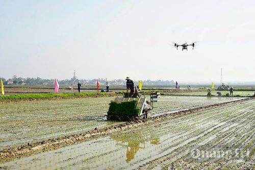'Đòn bẩy' chuyển đổi xanh