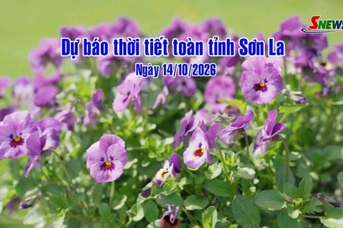 Dự báo thời tiết toàn tỉnh Sơn La ngày 14/10/2026
