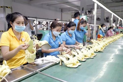 Khu vực doanh nghiệp tư nhân nộp ngân sách gần 500 nghìn tỷ đồng trong 9 tháng