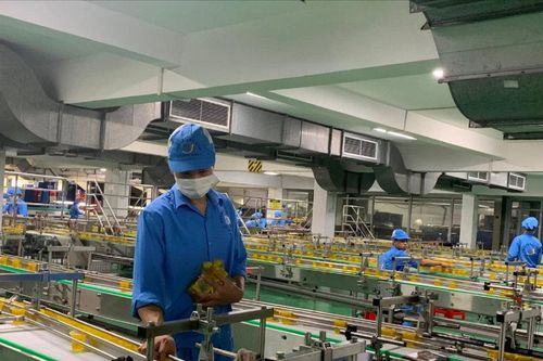 Thấy gì từ khoảng cách sinh lời giữa các khu vực doanh nghiệp?