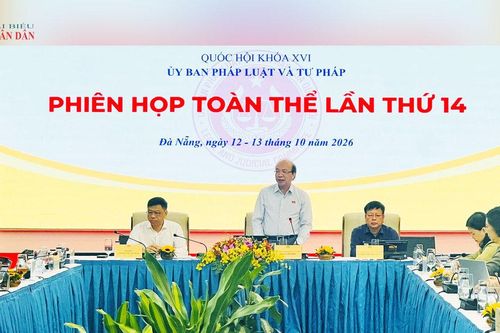 Phân cấp quản lý sở hữu trí tuệ cần phù hợp với năng lực địa phương
