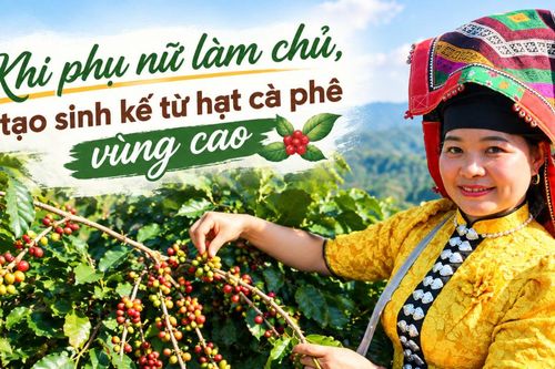 Khi phụ nữ làm chủ, tạo sinh kế từ hạt cà phê vùng cao