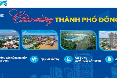 Sonadezi (SNZ) không đáp ứng điều kiện công ty đại chúng