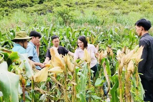 Người dân xã Tổng Cọt khai thác đất đai, tận dụng nguồn lực để giảm nghèo bền vững