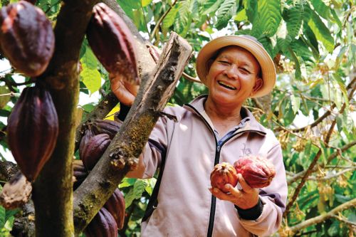 Phát triển sinh kế, nâng cao giá trị nông sản