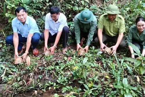 Thả 16 cá thể động vật hoang dã về Vườn quốc gia Chư Mom Ray