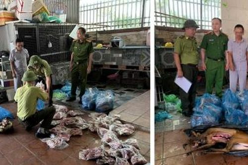 Quảng Ninh: Xử lý hành vi mua bán động vật hoang dã trái pháp luật