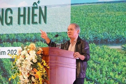 Bầu Đức xây chung cư 22 tầng trên khu đất vàng bị bỏ quên 15 năm, lãnh đạo tỉnh đích thân đến kiểm tra tiến độ