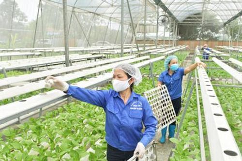 Chuyển đổi số để nâng tầm nông nghiệp Thủ đô