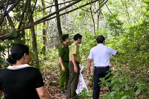 Trăn gấm 11,5kg được giải cứu, thả về rừng