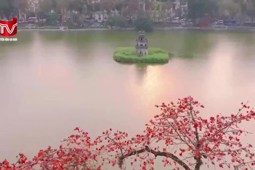 Du lịch Việt Nam ghi dấu ấn trên bản đồ quốc tế năm 2026