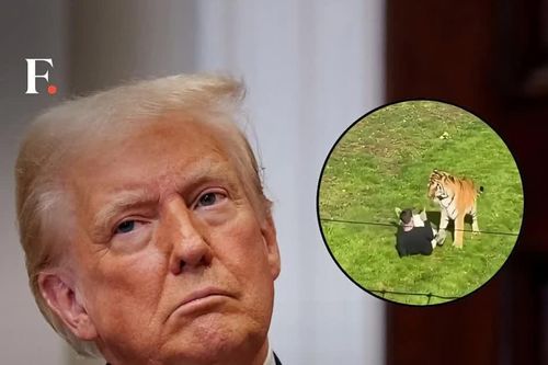 Ông Trump gây tranh cãi vì đăng video người đàn ông bị hổ tấn công