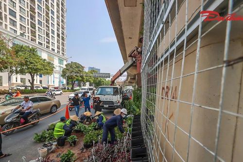 Hà Nội thí điểm phủ xanh trụ cầu, hầm chui và nhà chờ xe buýt