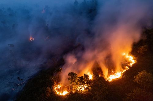 Cháy rừng do El Nino thiêu rụi gần 300 ngôi nhà ở Indonesia