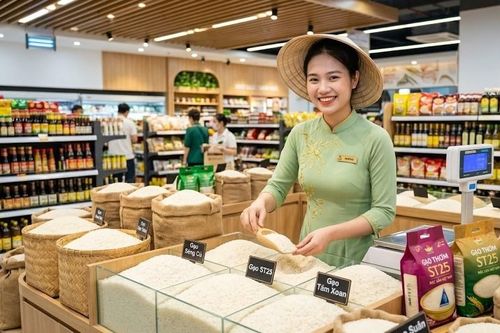 Giá lúa gạo hôm nay 14.10.2026: Hai loại lúa tăng 100 đồng/kg