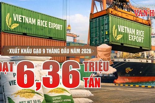 Xuất khẩu gạo: Kim ngạch giảm nhanh hơn sản lượng