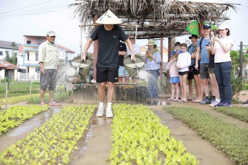Du lịch xanh: Đà Nẵng tìm lời giải cho bài toán phát triển bền vững
