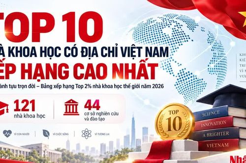 [Infographic] Những nhà khoa học có địa chỉ nghiên cứu tại Việt Nam vào danh sách top 2% thế giới
