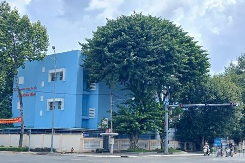 Đồng Tháp thực hiện các bước sử dụng khu 'đất vàng' 4 mặt tiền để làm công viên