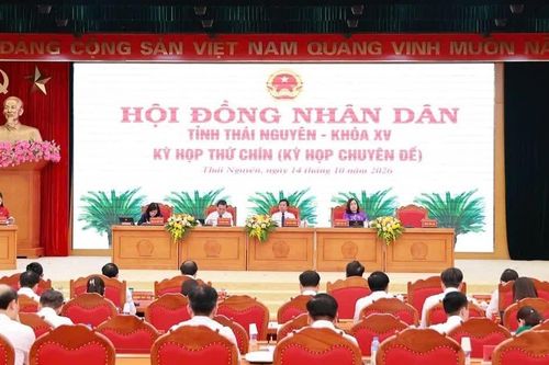 Thái Nguyên chuyển mục đích sử dụng hơn 100ha rừng phục vụ các dự án