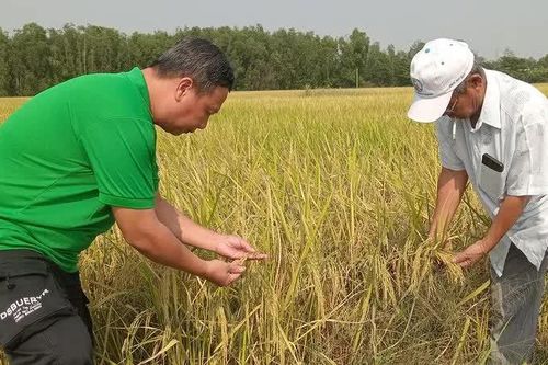 Nam bộ vẫn mưa những ngày tới, tập trung vào chiều tối