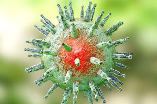 Vì sao Epstein-Barr được gọi là 'virus bách bệnh'?