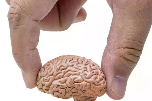 Bộ não người lớn tuổi có thể được tối ưu cho một chức năng khác