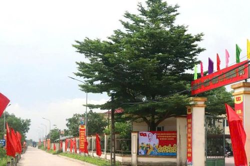 Phượng Dực: Đổi cách làm, nâng chất nông thôn mới