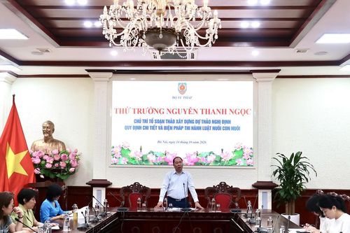 Đơn giản hóa thủ tục, đẩy mạnh chuyển đổi số trong lĩnh vực nuôi con nuôi