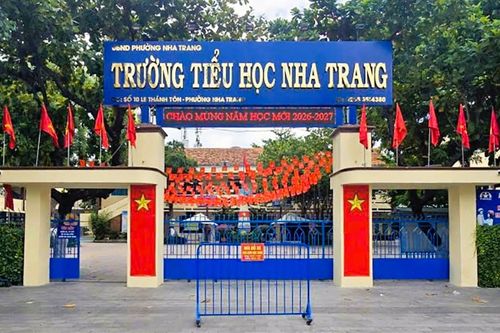 Phó Thủ tướng chỉ đạo rà soát 114 trường có trên 100 lớp sau sắp xếp