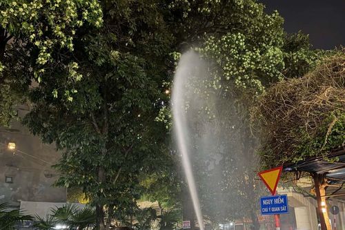 12 cây hoa sữa nở rộ quanh chung cư ở Hà Nội, người dân dùng vòi cao áp phun rụng